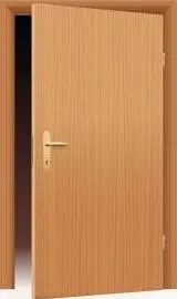 Flush Door